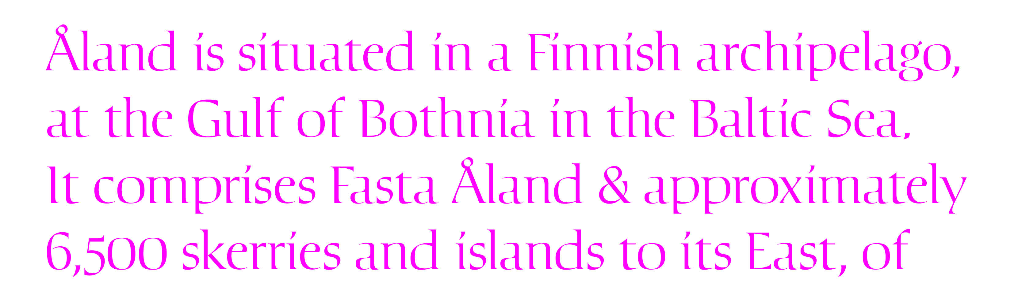 type design typographique : leo guibert design typeface Aukio