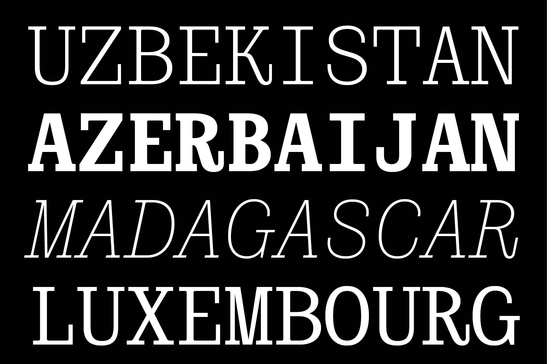 type design typographique : leo guibert design typeface Covenant Mono